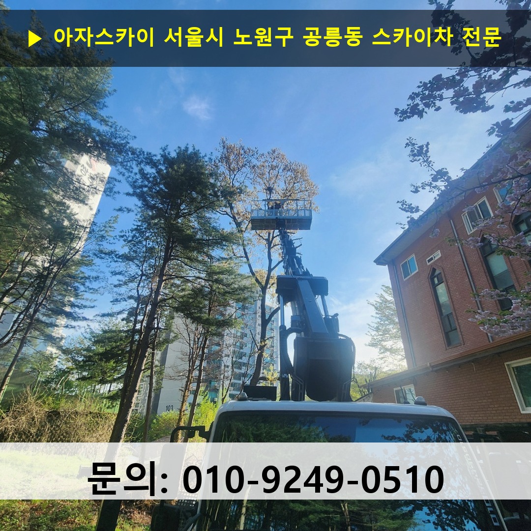 서울시 노원구 공릉동 스카이차 고소작업 현장