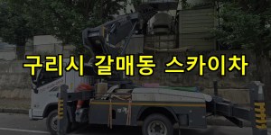 구리시 갈매동 스카이차 24시간 출동 아자스카이