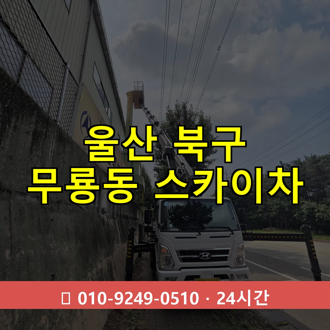 울산 북구 무룡동 스카이차 24시간 즉시 출동