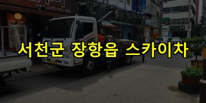 서천군 장항읍 스카이차 24시간 출동 아자스카이