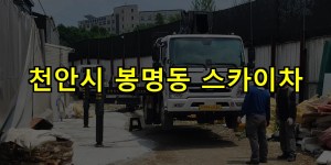 천안시 봉명동 스카이차 24시간 출동 아자스카이