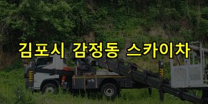 김포시 감정동 스카이차 24시간 출동 아자스카이