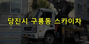 당진시 구룡동 스카이차 24시간 출동 아자스카이