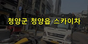 청양군 청양읍 스카이차 24시간 출동 아자스카이