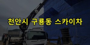 천안시 구룡동 스카이차 24시간 출동 아자스카이