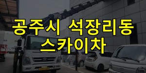 공주시 석장리동 스카이차 24시간 출동 아자스카이