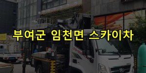 부여군 임천면 스카이차 24시간 출동 아자스카이