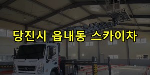당진시 읍내동 스카이차 24시간 출동 아자스카이