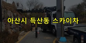 아산시 득산동 스카이차 24시간 출동 아자스카이