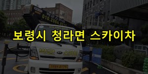 보령시 청라면 스카이차 24시간 출동 아자스카이