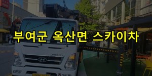 부여군 옥산면 스카이차 24시간 출동 아자스카이
