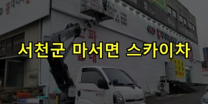 서천군 마서면 스카이차 24시간 출동 아자스카이