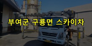 부여군 구룡면 스카이차 24시간 출동 아자스카이