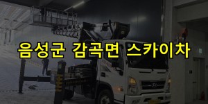 음성군 감곡면 스카이차 24시간 출동 아자스카이