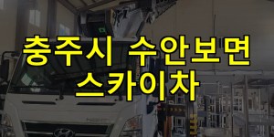 충주시 수안보면 스카이차 24시간 출동 아자스카이