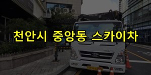 천안시 중앙동 스카이차 24시간 출동 아자스카이