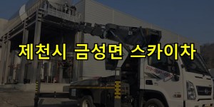 제천시 금성면 스카이차 24시간 출동 아자스카이