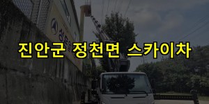 진안군 정천면 스카이차 24시간 출동 아자스카이