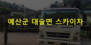 예산군 대술면 스카이차 24시간 출동 아자스카이