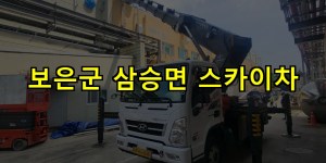 보은군 삼승면 스카이차 24시간 출동 아자스카이
