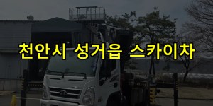천안시 성거읍 스카이차 24시간 출동 아자스카이