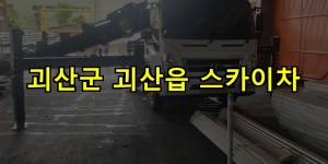 괴산군 괴산읍 스카이차 24시간 출동 아자스카이
