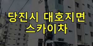 당진시 대호지면 스카이차 24시간 출동 아자스카이