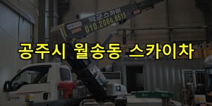 공주시 월송동 스카이차 24시간 출동 아자스카이
