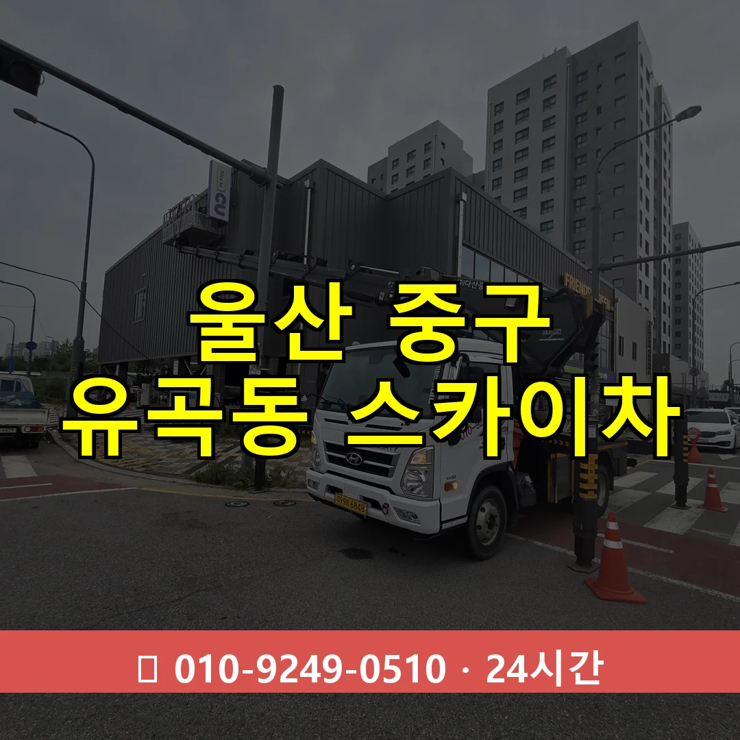 울산 중구 유곡동 스카이차 24시간 즉시 출동
