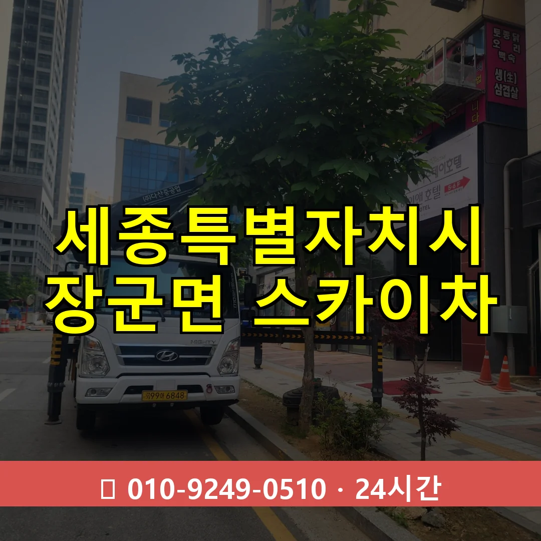 세종특별자치시 장군면 스카이차 24시간 즉시 출동