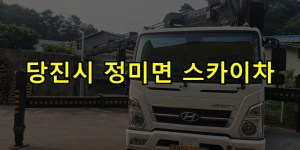 당진시 정미면 스카이차 24시간 출동 아자스카이