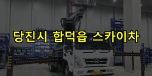 당진시 합덕읍 스카이차 24시간 출동 아자스카이