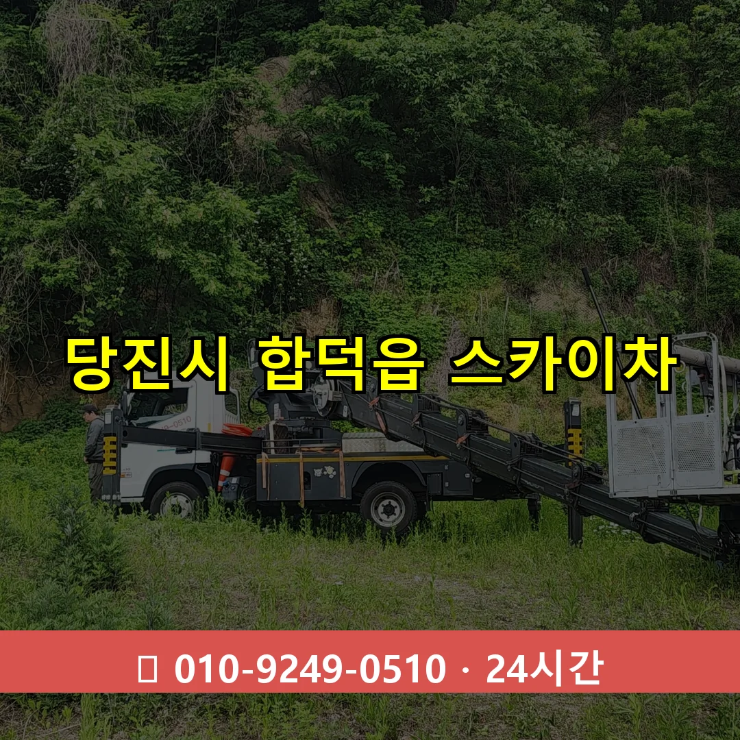 당진시 합덕읍 스카이차 24시간 즉시 출동
