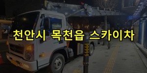 천안시 목천읍 스카이차 24시간 출동 아자스카이