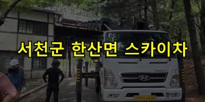 서천군 한산면 스카이차 24시간 출동 아자스카이