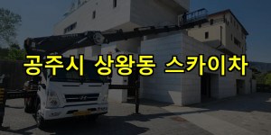 공주시 상왕동 스카이차 24시간 출동 아자스카이