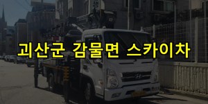 괴산군 감물면 스카이차 24시간 출동 아자스카이
