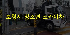 보령시 청소면 스카이차 24시간 출동 아자스카이
