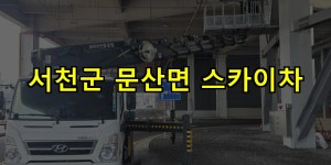 서천군 문산면 스카이차 24시간 출동 아자스카이