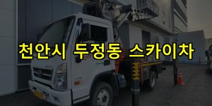 천안시 두정동 스카이차 24시간 출동 아자스카이