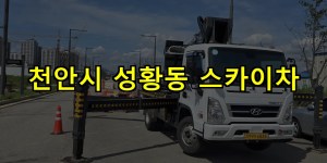천안시 성황동 스카이차 24시간 출동 아자스카이