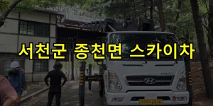 서천군 종천면 스카이차 24시간 출동 아자스카이