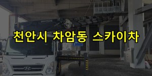 천안시 차암동 스카이차 24시간 출동 아자스카이