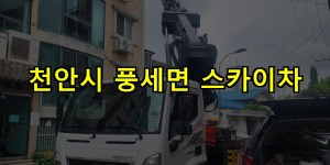천안시 풍세면 스카이차 24시간 출동 아자스카이