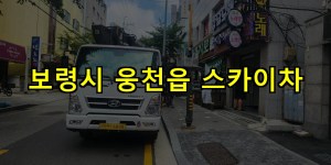 보령시 웅천읍 스카이차 24시간 출동 아자스카이