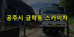 공주시 금학동 스카이차 24시간 출동 아자스카이
