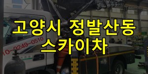 고양시 정발산동 스카이차 24시간 출동 아자스카이