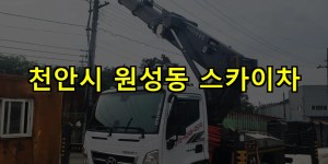 천안시 원성동 스카이차 24시간 출동 아자스카이
