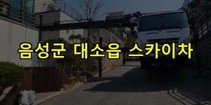 음성군 대소읍 스카이차 24시간 출동 아자스카이