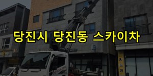 당진시 당진동 스카이차 24시간 출동 아자스카이
